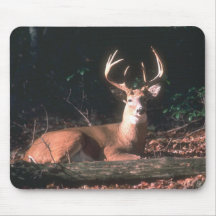 Populäres Whitetailed Rotwild-Dollar-Geschenk Mauspads