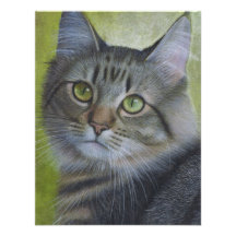 Porträt eines Tabby Ankündigung