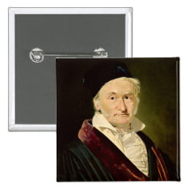 Porträt von Carl Friedrich Gauß, 1840 Anstecknadel