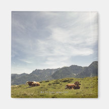 postalm Straße, weissenbachtal, 3 Kühlschrankmagnet