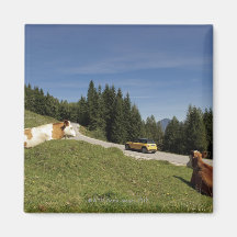 postalm Straße, weissenbachtal, Magnets