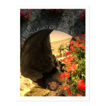 POSTKARTE Alligatorgasse