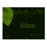 Postkarte des Blatt-311-Dream