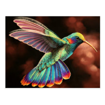 Postkarten des Kolibri-2