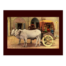 Postkarten-fantastisches Indien-Dorf