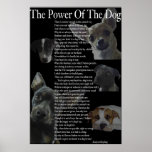 Power des Hundeplakats (groß)
