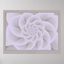 Prachtvolle Rose Posterdruck