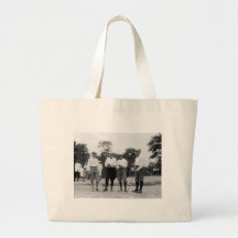 Präsident Harding Golf Foursome, Zwanzigerjahre Tasche