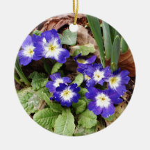 Primula Tantallon. Weinachtsornamente