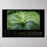 Professionalismus Posterdruck