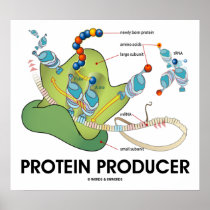 Protein-Produzent (Molekularbiologie) poster