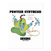 Protein-Synthese-Innere (Zellbiologie) Postkarte