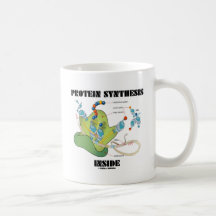 Protein-Synthese-Innere (Zellbiologie) Tassen
