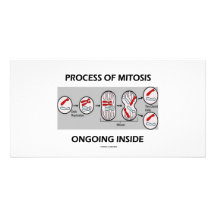Prozess des Mitose-laufenden Inneres Personalisierte Photo Karte