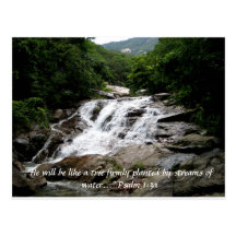 Psalm-1:3 a postkarten