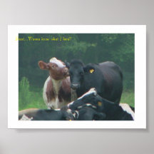 Pssst… wollen Sie, um zu wissen, was ich in Herden Plakatdrucke