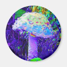 Psychedelischer Pilz Kühlschrankmagnet