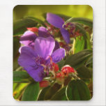 PTF 1 MOUSEPAD