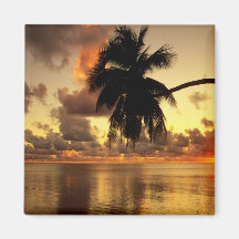 Puerto Vallarta Kühlschrankmagnete