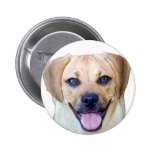 Puggle Power! buttons