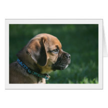 puggle Profil Grußkarte