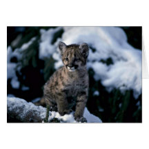 Puma-junges Junges im schneebedeckten Baum Grußkarte
