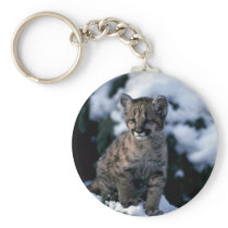 Puma-junges Junges im schneebedeckten Baum schlüsselanhänger