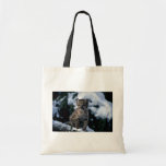 Puma-junges Junges im schneebedeckten Baum Tasche