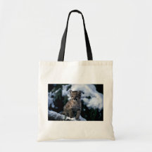 Puma-junges Junges im schneebedeckten Baum Tasche