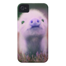 Purple Pigsy iPhone 4 Case-Mate Case