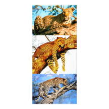 PURRFECT LESEZEICHEN FÜR DEN LEOPARD-LIEBHABER INDIVIDUELLE WERBE KARTE