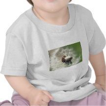 Pusteblume 2013 3 T-Shirts