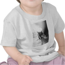 Pusteblume 2013 4 t shirts