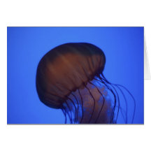 Quallen am Georgia-Aquarium Grußkarte