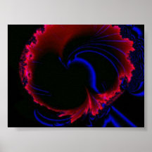 Quallen Plakat