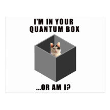 Quantums-Katze Postkarte