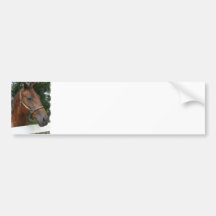 Quarterhorse-Foto-Autoaufkleber