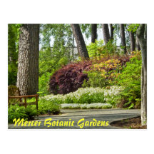 Quiet Bench at Mercer Arboretum and Botanic Garden Post Cards