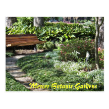 Quiet Corner @ Mercer Arboretum and Botanic Garden Post Card