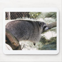 raccoon1 mousepad