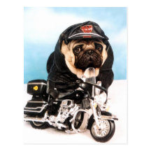 Radfahrer-Mops-Hund Postkarte
