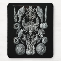 Rankenfußkrebse Mousepads