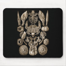 Rankenfußkrebse Mousepads