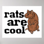 Rats Are Cool Print