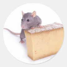 Ratte mit Käse Runde Aufkleber
