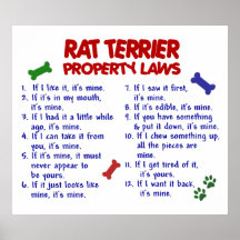 RATTE TERRIER PL2 PLAKAT