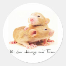 Ratten-Liebhaber immer und für immer Runder Aufkleber