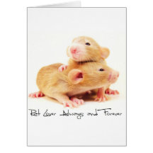 Ratten-Liebhaber immer und für immer Grußkarten