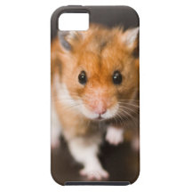 Ratty der Hamster Schutzhülle Fürs iPhone 5