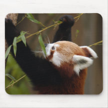 red-panda-021 mousepads